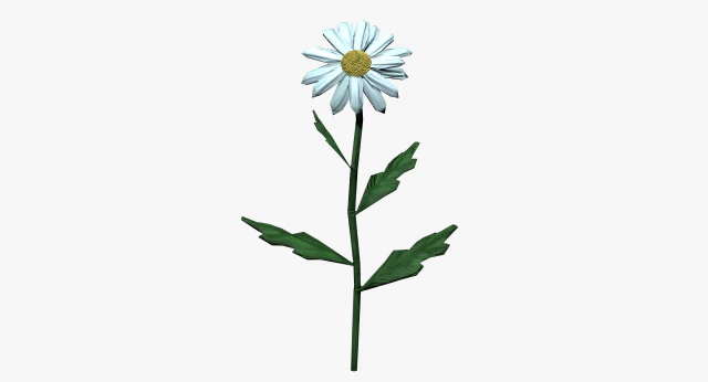 chamomile 3D Model .c4d .max .obj .3ds .fbx .stl .blend 