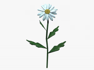 ромашка 3D Модель