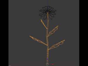 chamomile 3D Model
