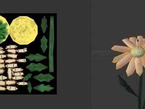 chamomile 3D Model