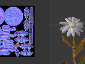 chamomile 3D Model