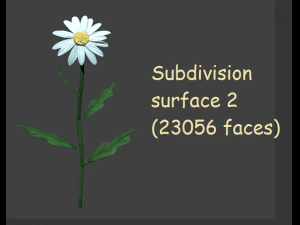 chamomile 3D Model