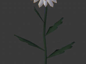 chamomile 3D Model