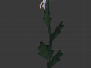 chamomile 3D Model
