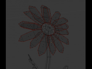 chamomile 3D Model