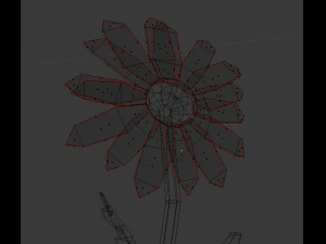 chamomile 3D Model