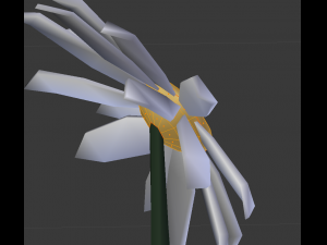 chamomile 3D Model