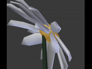 chamomile 3D Model