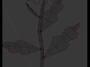 chamomile 3D Model