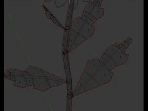 chamomile 3D Model