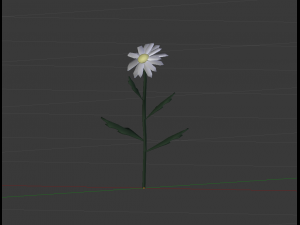 chamomile 3D Model