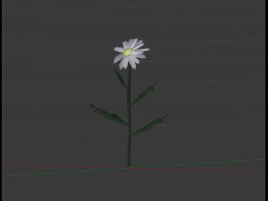 chamomile 3D Model