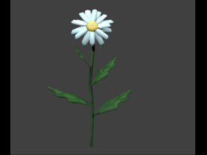 chamomile 3D Model