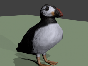 puffin 3D Model