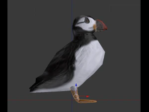 puffin 3D Model