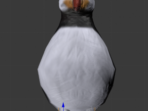 puffin 3D Model