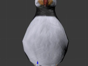 puffin 3D Model