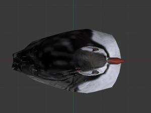 puffin 3D Model