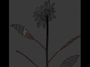 sunflower 3D Model