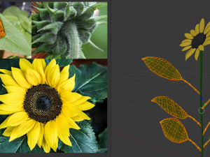 sunflower 3D Model
