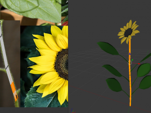 sunflower 3D Model