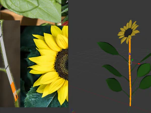 sunflower 3D Model