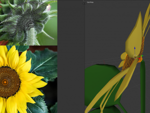 sunflower 3D Model