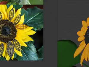 sunflower 3D Model