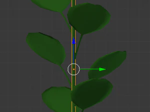 sunflower 3D Model