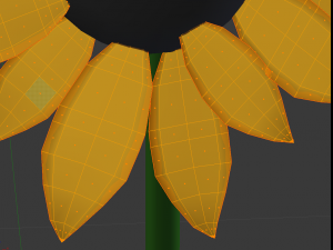sunflower 3D Model