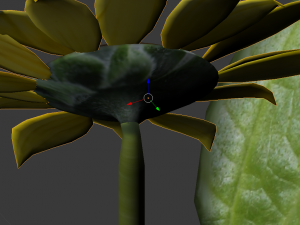sunflower 3D Model