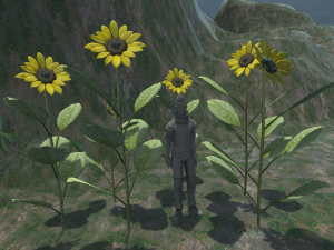 sunflower 3D Model