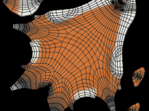 cartoon fox Modello 3D