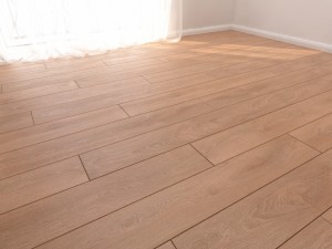 parquet floor floordreams vario part 4 3D Модель