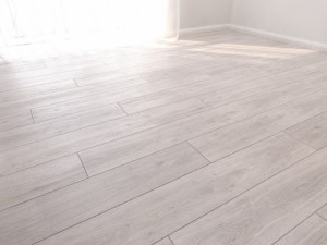 parquet floor forte classic part 1 Modèle 3D