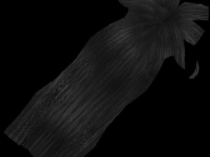 chel t pose 3D Модель
