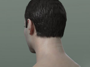 Freddie mercury singer head Modelo 3D