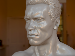 3d printable model arnold schwarzenegger Model Cetak 3D