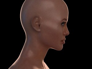 3d angelina jolie 3Dモデル