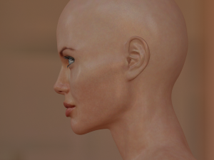 3d angelina jolie 3Dモデル