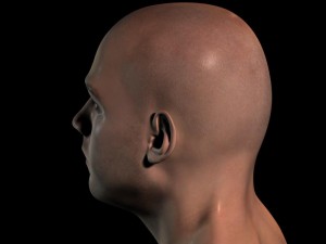 human head max 3D Модель