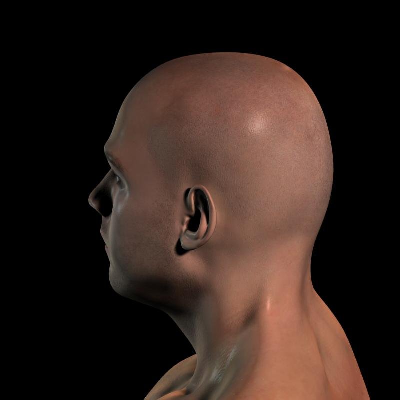 Max head. Head max. Head max. Голова v1. 3d max спенсер.