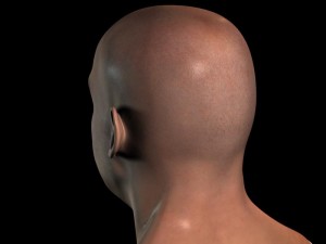 human head max 3D Модель