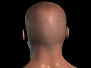 human head max 3D Модель