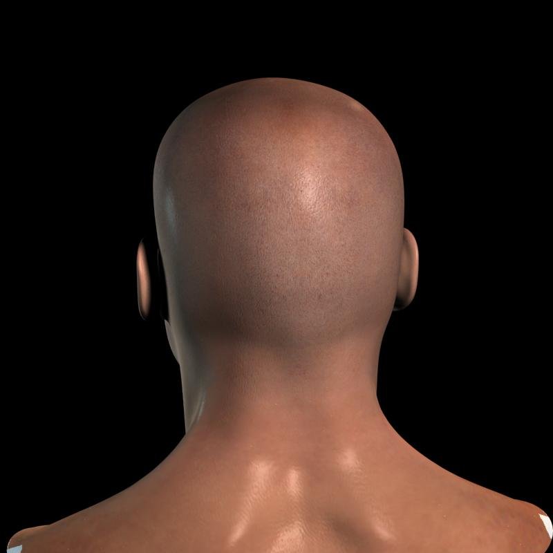 Fast & furious crossroads. Max's severed head. Male realistic character pack 02. Max head. Head max.