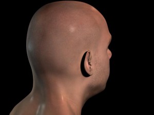 human head max 3D Модель