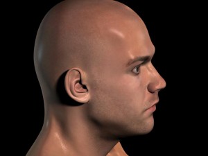 human head max 3D Модель