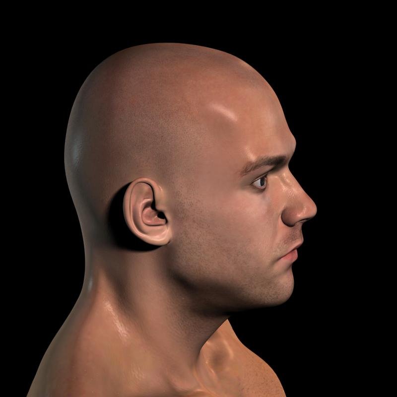 Реалистичная мужская голова 3d модель от andor kollar. Head max. Игра голова человека. Рендеринг в играх. Арк 2 доминик торетто.