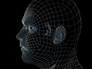 human head max 3D Модель