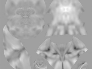human head max 3D Модель